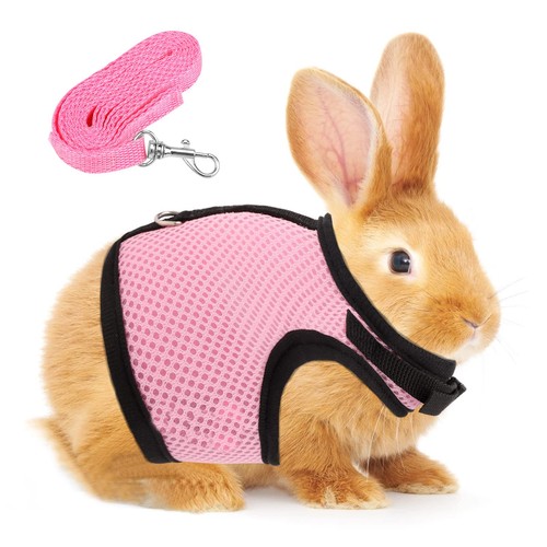 Adjustable rabbit harness for - harness,