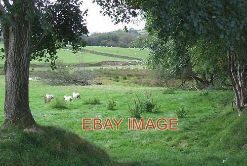 Photo grazing land - land, by