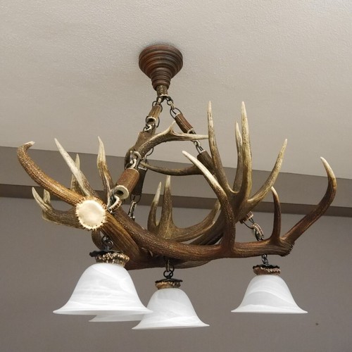 Antler lamp red deer - lamp,