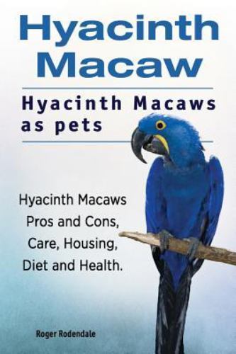 Hyacinth macaw - hyacinth,