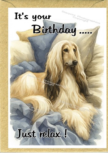 Afghan hound dog - dog, (4"x