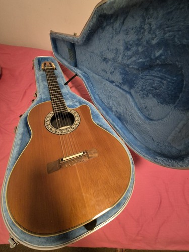 Electric acoustic guitar - electric,