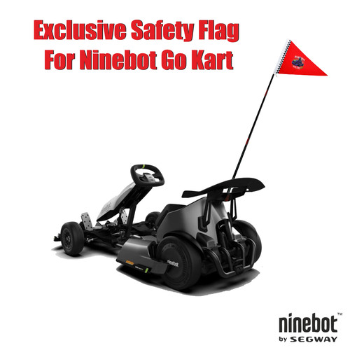 Flag for segway - flag,