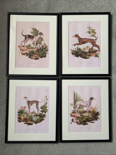 Set framed greyhound - set, of
