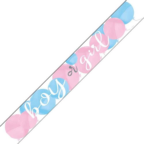 Gender reveal banner boy - reveal,