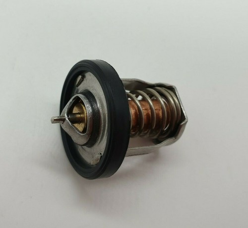 5hp thermostat for suzuki - for,