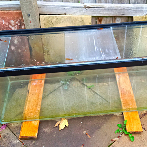 Glass rectangle aquarium tank - aquarium,