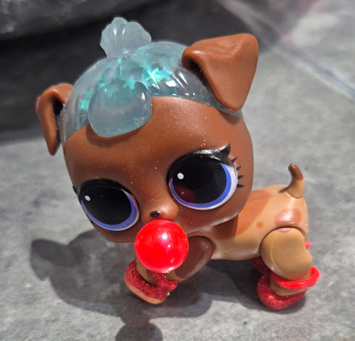 Surprise pet dog - pet,