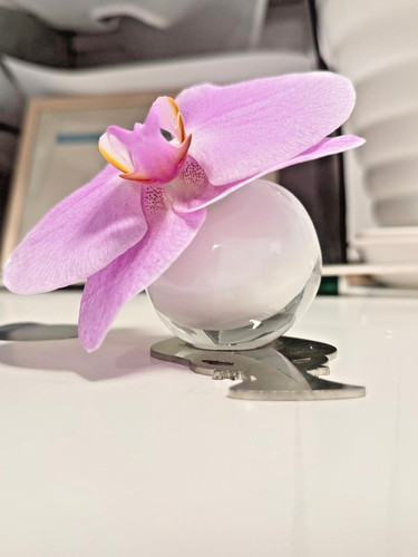 Beautiful marcel wanders - marcel, wet