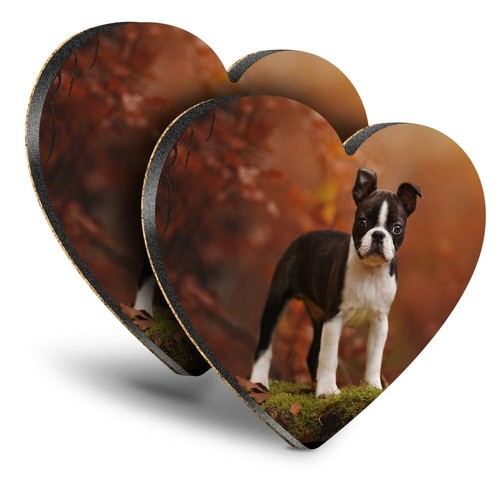 Heart mdf coasters - 2x,