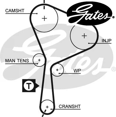 Engine timing belt - engine,