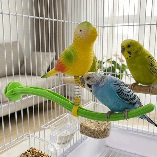 Plastic bird perch stand - bird,
