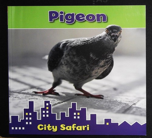 Pigeon children book facts - children's,