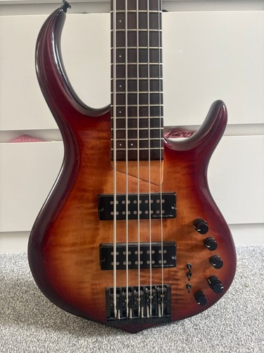 Sire tiger stripe electric - stripe,