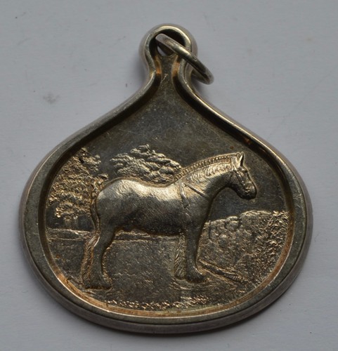 Horse sterling silver - horse,