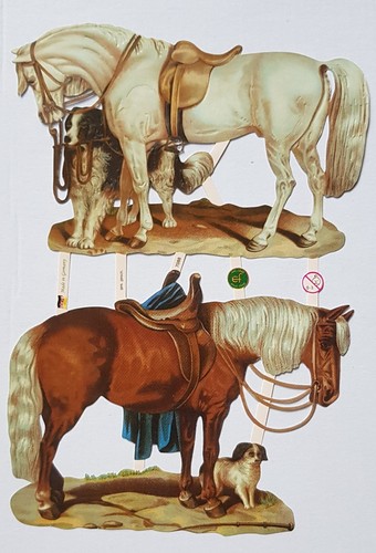 Paper scraps horse pony - scraps,