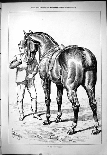Original old antique print - old,