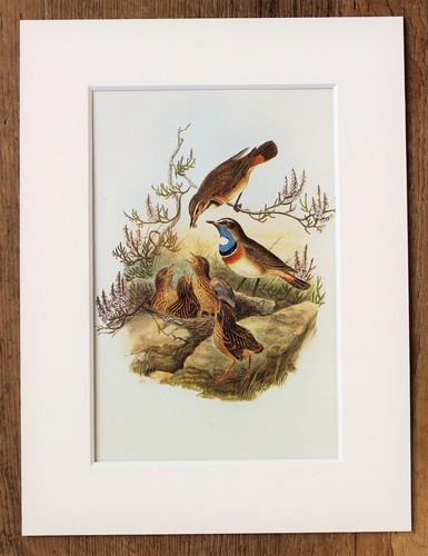 John gould 1970s vintage - -,