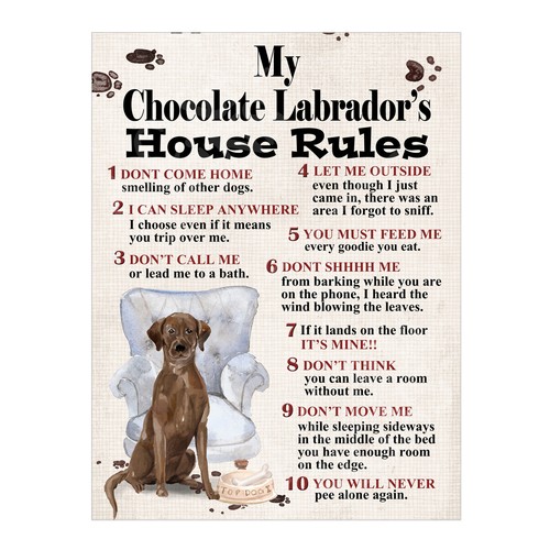 Chocolate labrador s house - chocolate, labrador's