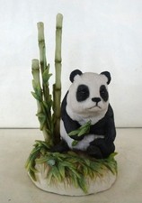 Teviotdale Giant Panda