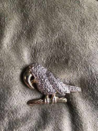 Brooch parrot - brooch,