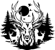 LARGE stag head car bonnet side sticker camper van vinyl graphic decal wall art