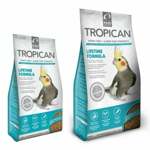 Hari tropican cockatiel - hari,