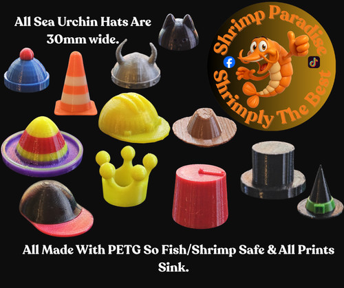 Sea urchin hats printed - urchin,