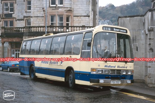 Bus coach photo - bus, midland