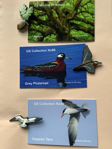 None rspb badges collection - none, gs