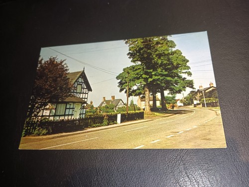 Street scene houses - scene,