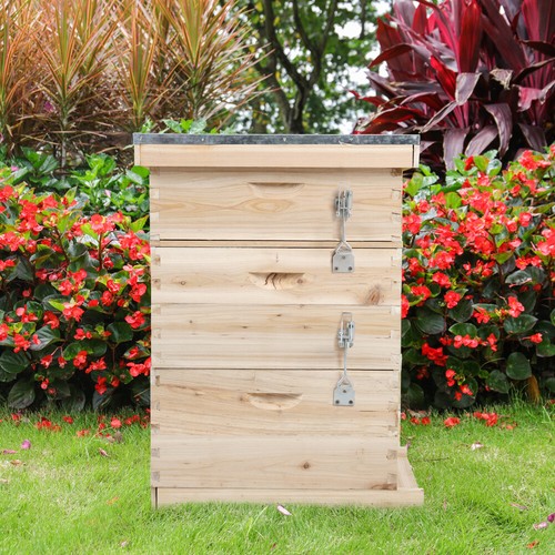 Langstroth bee hive beekeeping - langstroth,