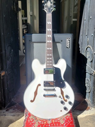 Semi hollowbody guitar - hollowbody,
