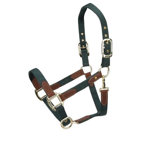 Shires arma porto headcollar - shires,