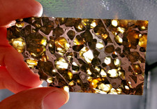 30.79 gram SEYMCHAN PALLASITE
