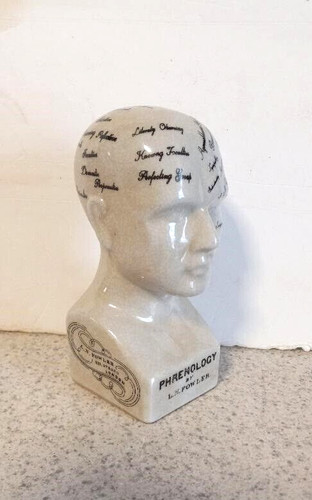 Phrenology head medical bust - phrenology,
