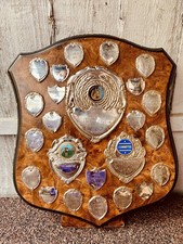 🏆 Large Trophy Shield 13”