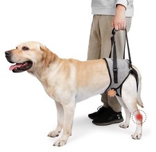 Dog Lift Harness, Pet Rear