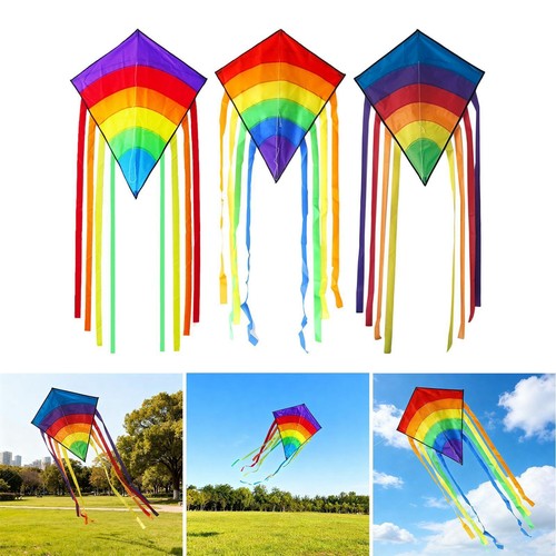 Rainbow fly kite windsock - rainbow,