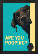 Labrador Are you pooping