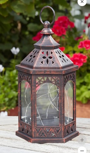 Firefly bronze maroccan - firefly,