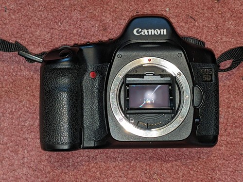 Canon eos 8mp digital - canon, 5d