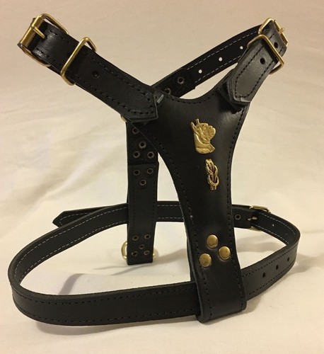 Leather french frenchie - leather, french/frenchie