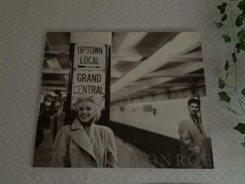 Marilyn monroe picture print - picture,
