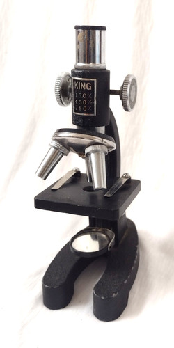 Small king microscope - microscope, in