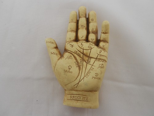 Fortune tellers hand - fortune, ~