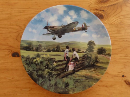 Coalport collector plate - coalport,