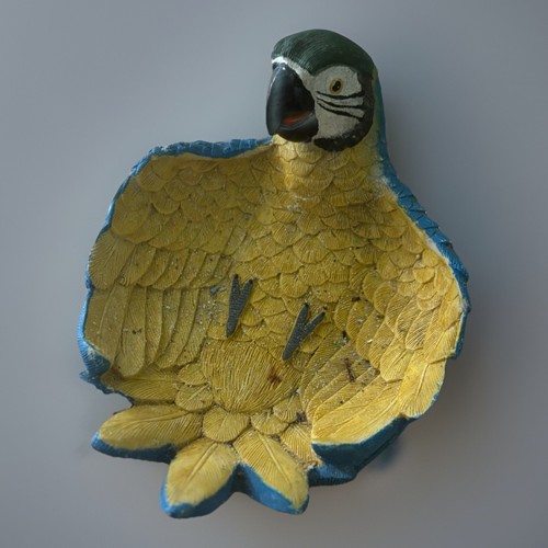 Blue gold macaw - &,