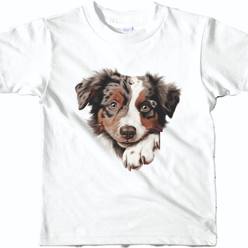 Australian shepherd dog - dog, t
