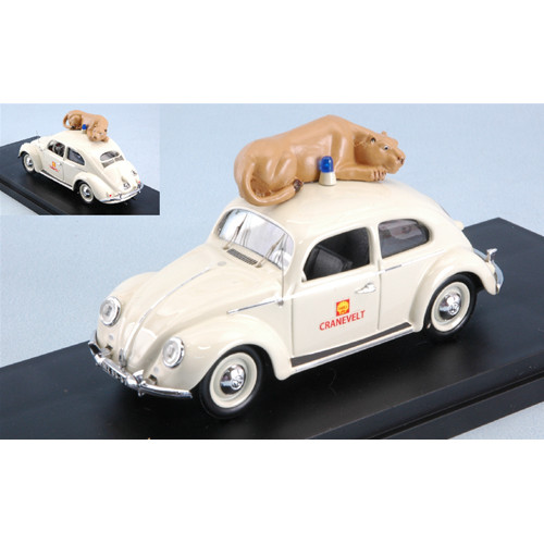 Beetle zoo arhnem 1965 - di,